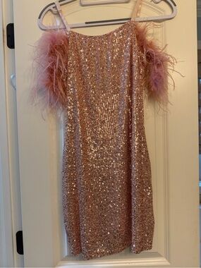 Main Strip Blush Sequin Dress with Feather Trim